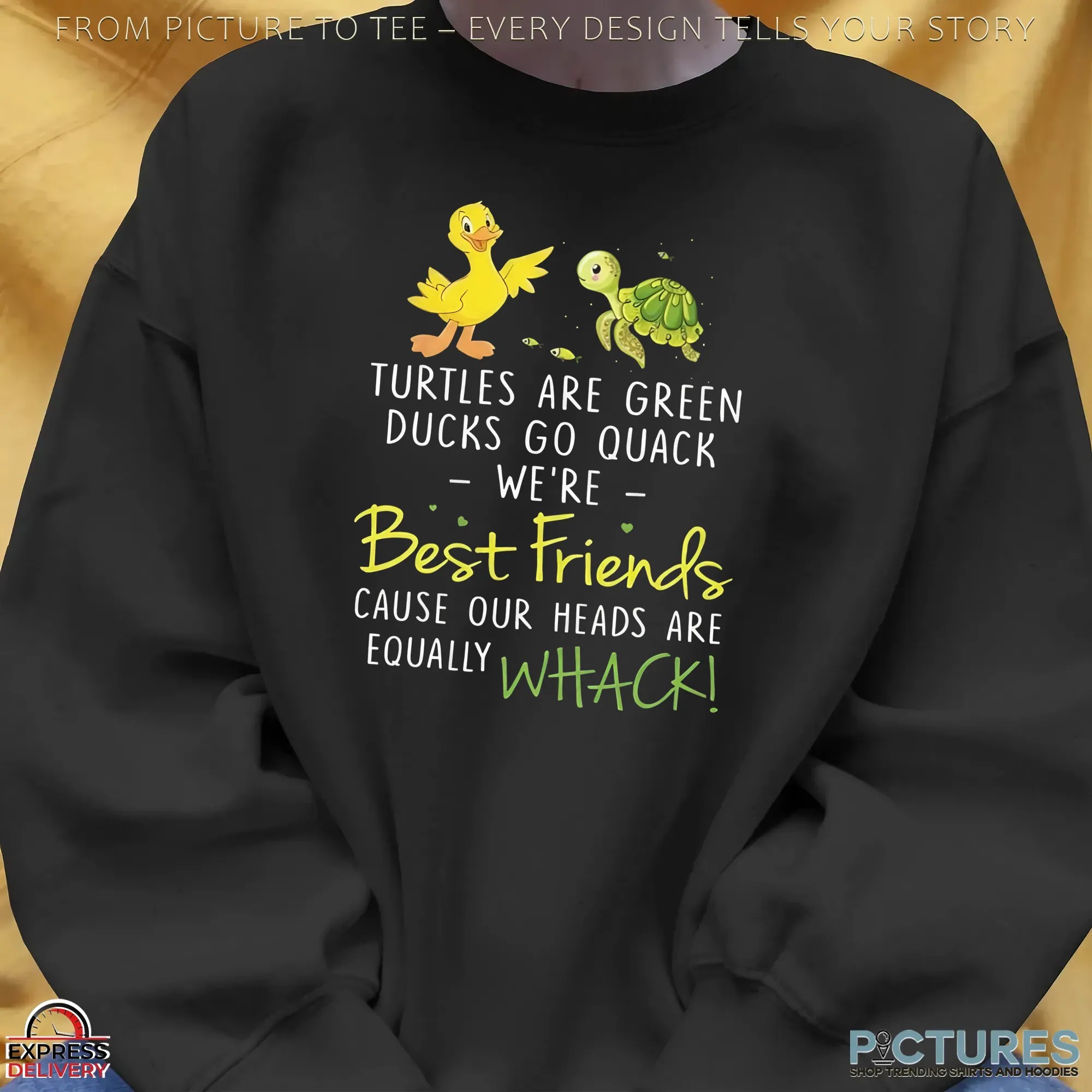 Turtles Are Green Ducks Go Quack We're Best Friends Cause Our Heads Are Equally Whack T Shirt