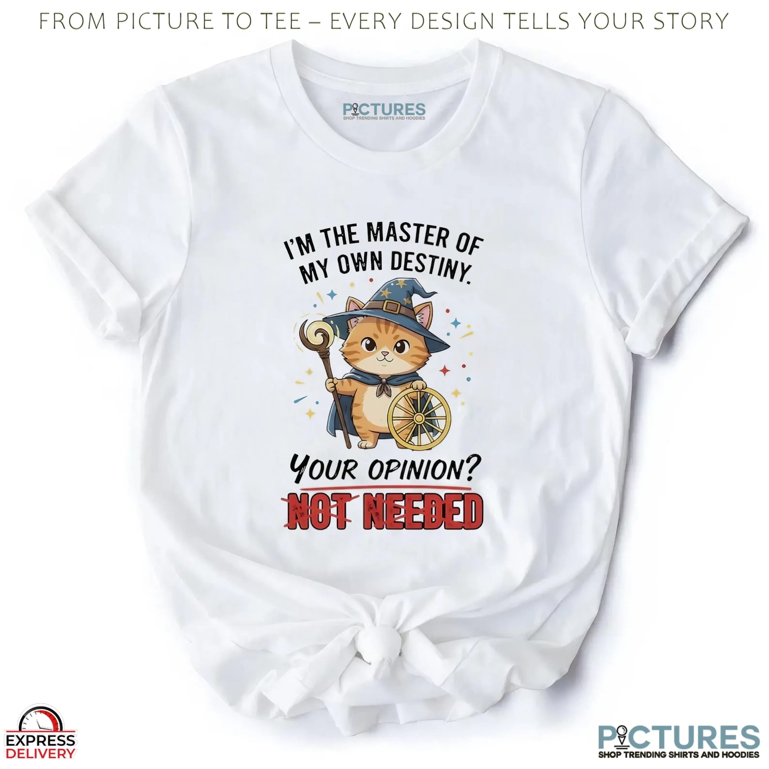 Wizard Cat I’m The Master Of My Own Destiny Your Opinion Not Needed T Shirt