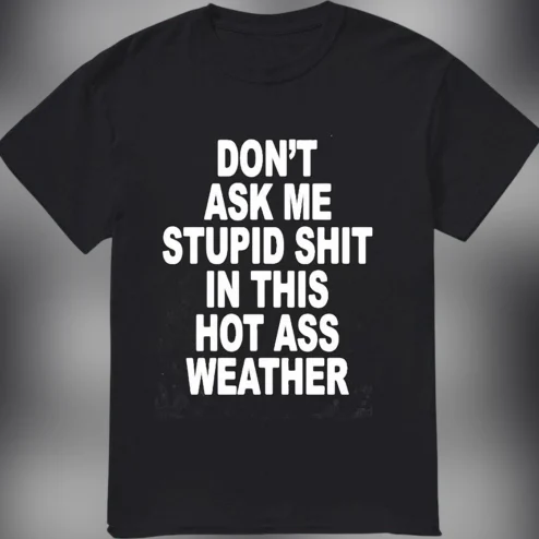 Don't Ask Me Stupid Shit in This Hot Ass Weather Tee, Sarcastic Summer Meme Shirt, Funny Heat Wave Humor Gift