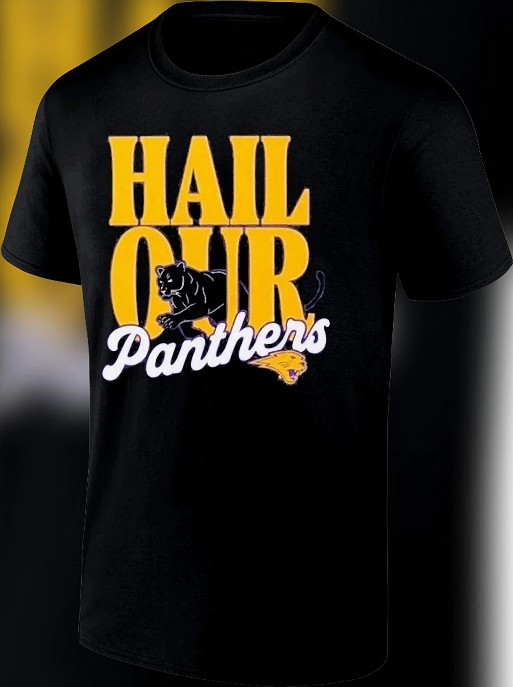 Hail Our Panthers Game Day Spirit Tee Retro Mascot Fan Graphic T-Shirt