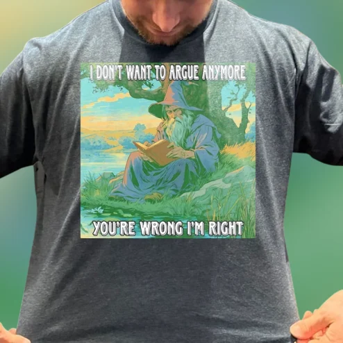 I Don't Want to Argue Anymore You're Wrong I'm Right Wizard Tee, Funny Sarcastic Fantasy Graphic T-Shirt