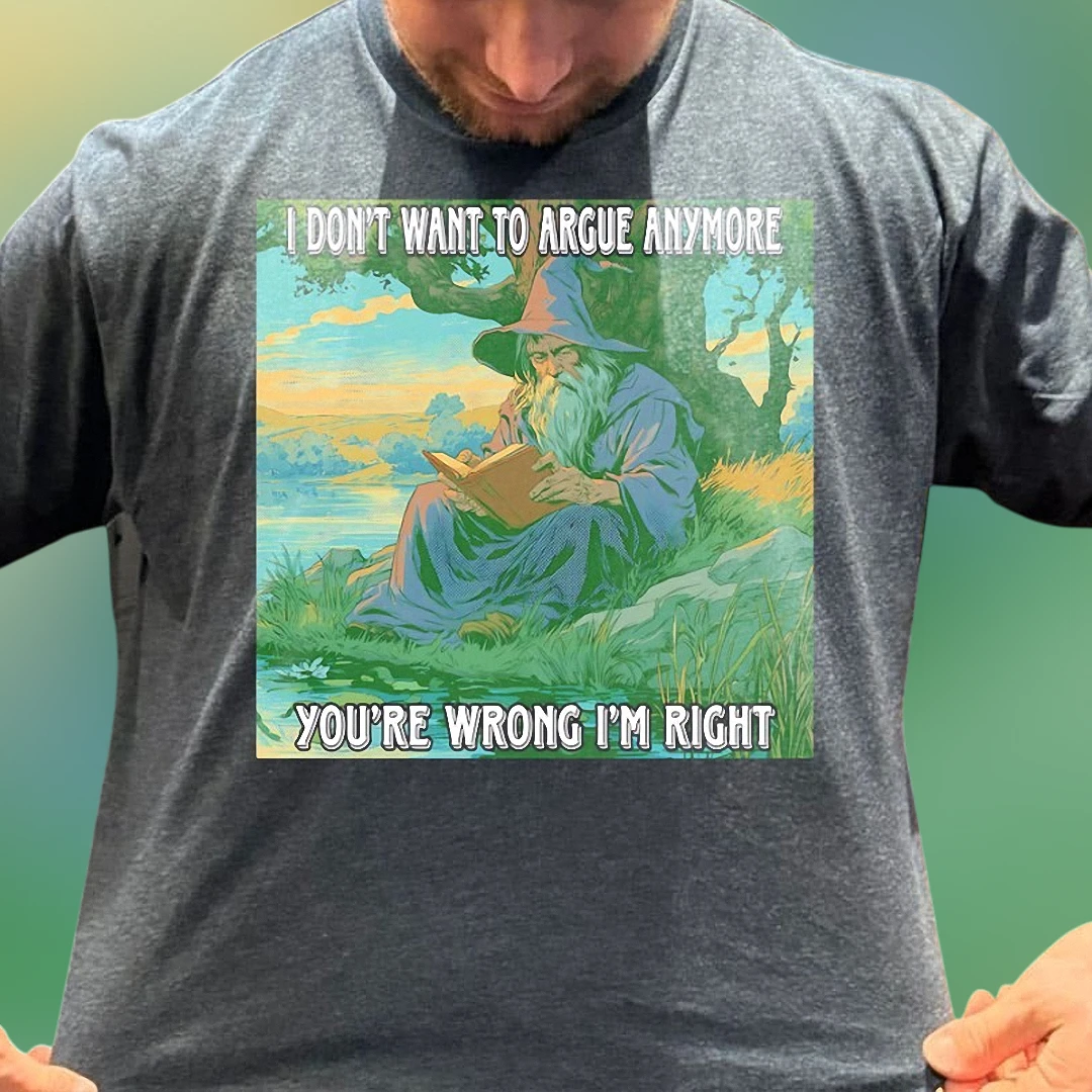 I Don't Want to Argue Anymore You're Wrong I'm Right Wizard Tee, Funny Sarcastic Fantasy Graphic T-Shirt
