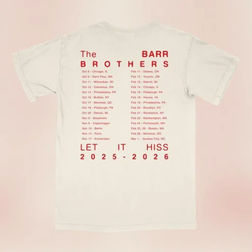 The Barr Brothers Let It Hiss Tee Vintage Folk Rock Tour Concert Shirt