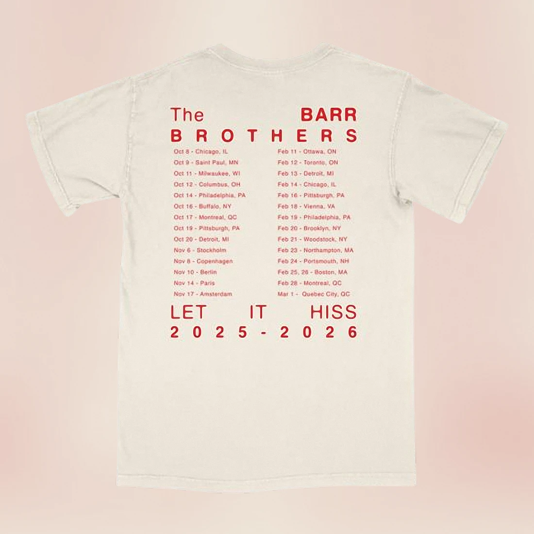 The Barr Brothers Let It Hiss Tee Vintage Folk Rock Tour Concert Shirt