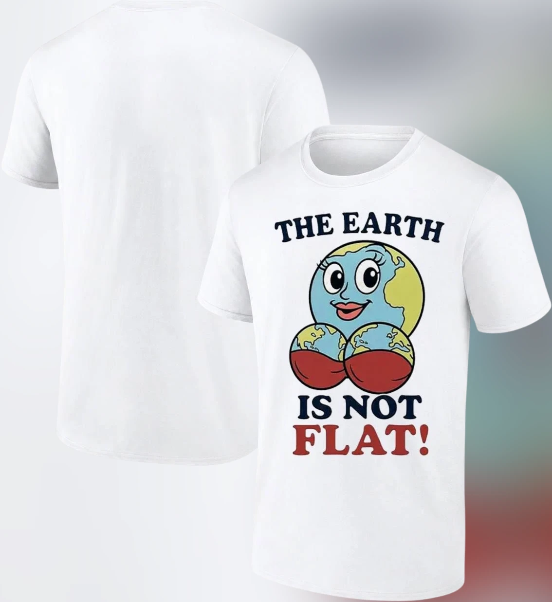 The Earth Is Not Flat Funny Sarcastic Tee, Adult Humor Novelty Graphic Shirt