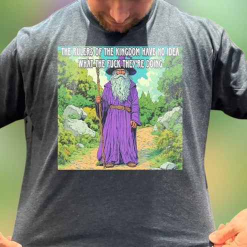 The Rulers of the Kingdom Have No Idea What They're Doing Tee, Funny Sarcastic Wizard Graphic T-Shirt