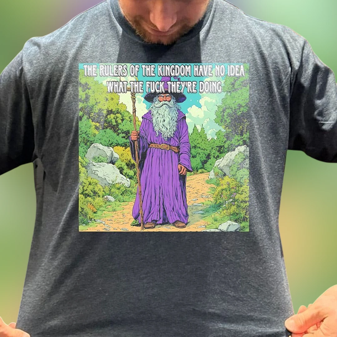 The Rulers of the Kingdom Have No Idea What They're Doing Tee, Funny Sarcastic Wizard Graphic T-Shirt