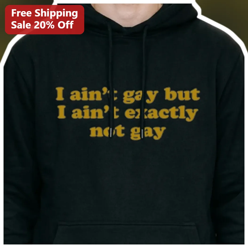 I Ain't Gay But I Ain't Exactly Not Gay Hoodie Funny Queer Humor Sweatshirt Gift