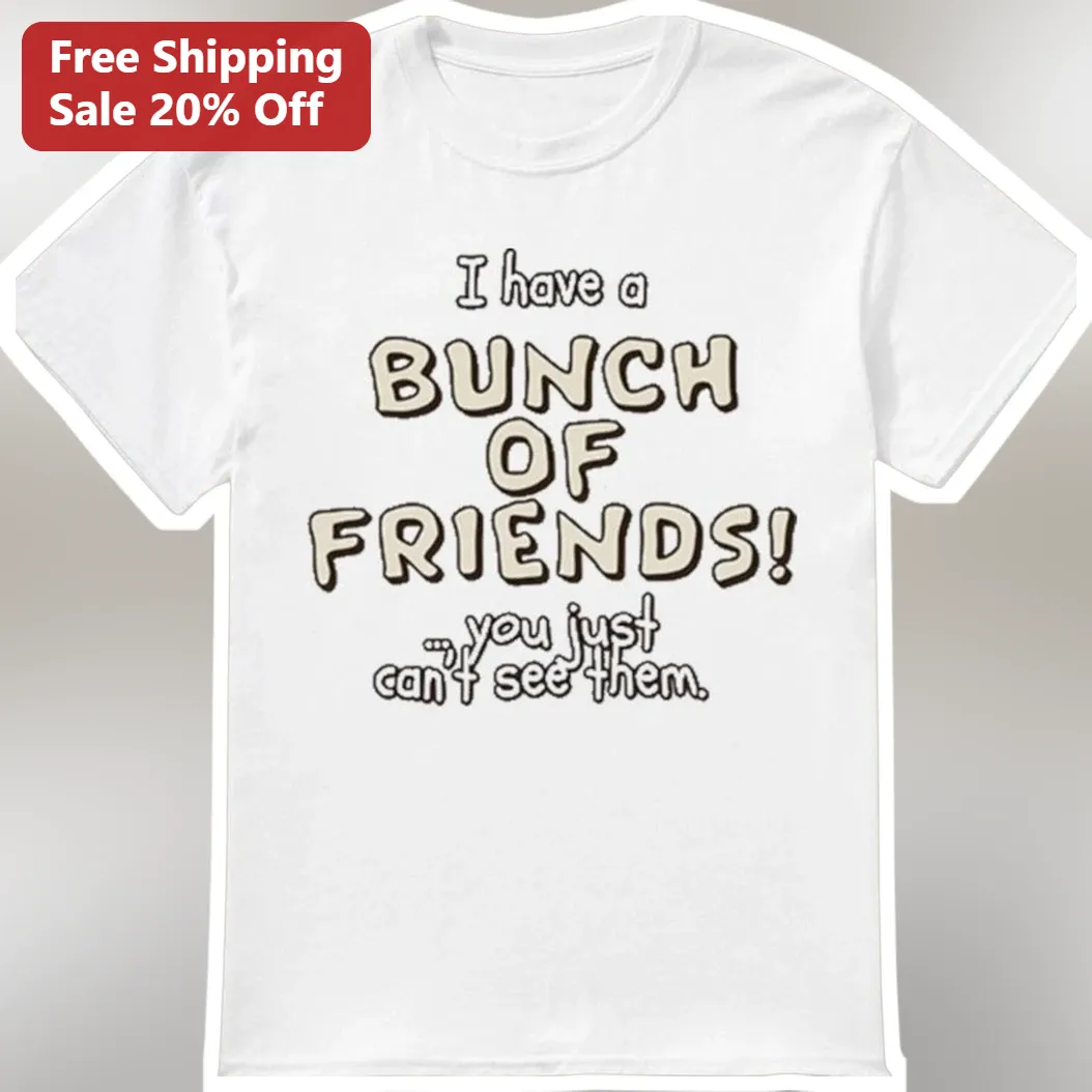 I Have a Bunch of Friends Invisible Friends Funny Introvert Graphic Tee
