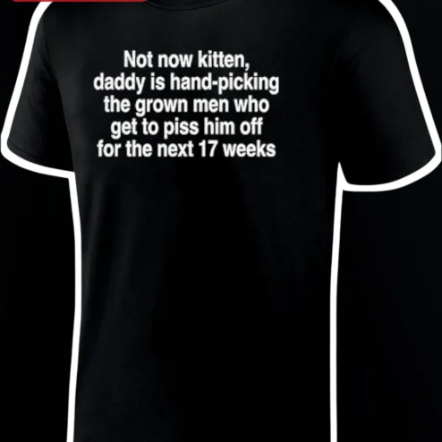Not Now Kitten Daddy Is Hand-Picking Grown Men Who Get To Piss Him Off For The Next 17 Weeks Funny Pregnancy Announcement Graphic Tee