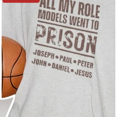 All My Role Models Went To Prison Funny Sarcastic Quote Tee For Men