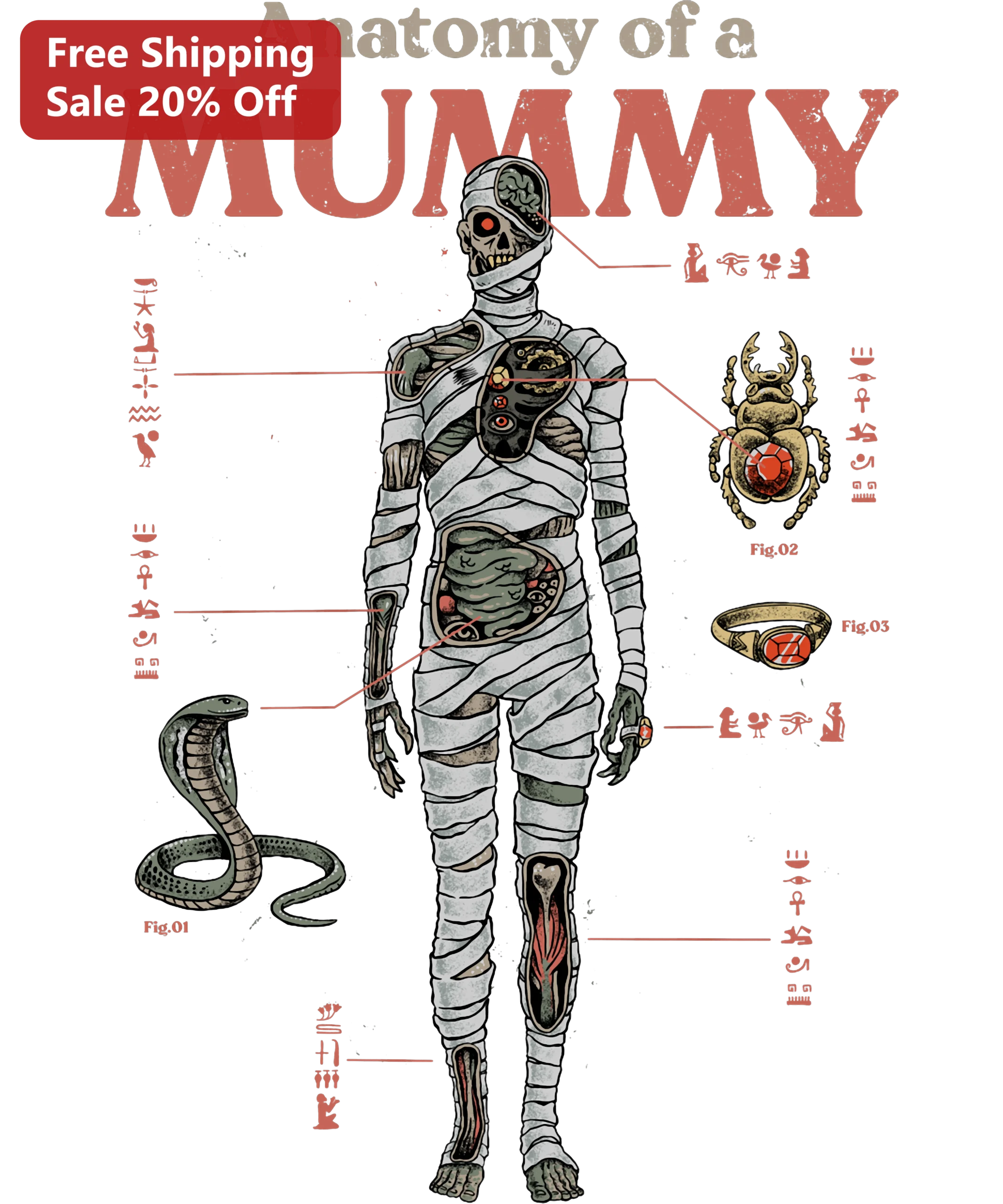 Anatomy of a Mummy Poster Vintage Egyptian Medical Chart Educational Wall Art for Classroom and Halloween Decor