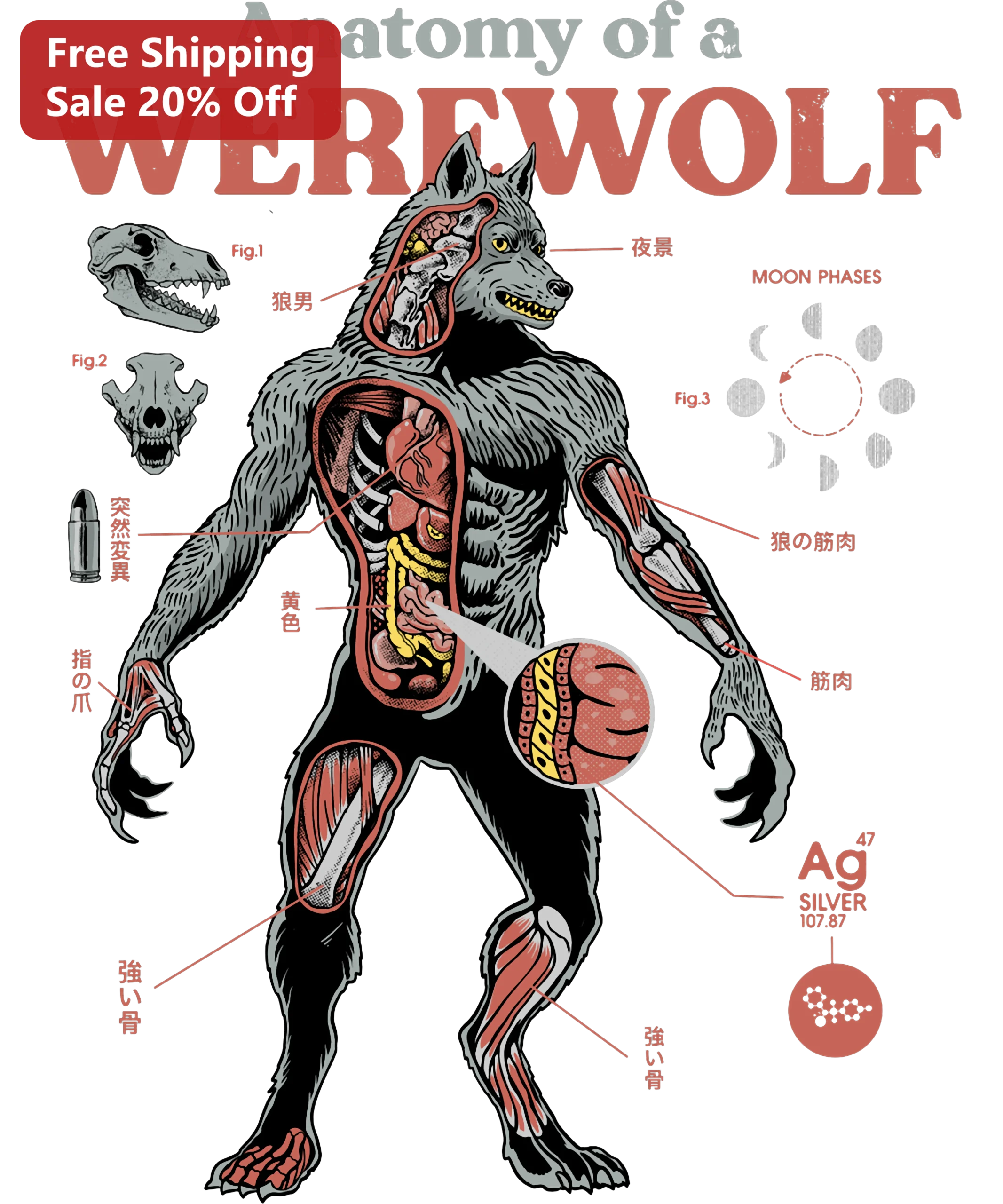 Anatomy of a Werewolf Poster Vintage Gothic Horror Art Print Halloween Decor