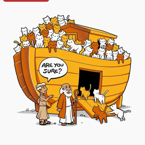 Are You Sure? Noah's Ark Cat Graphic Tee Funny Biblical Humor Shirt on a hanger, ready to ship from Chicago, Illinois