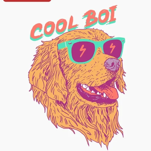 Cool Boi Golden Retriever Sunglasses Tee Funny Dog Lover Graphic T-Shirt Gift on a hanger, ready to ship from Chicago, Illinois