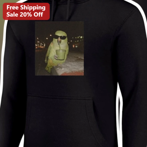 Cool Parrot Sunglasses Hoodie Funny Bird Lover Meme Streetwear Gift