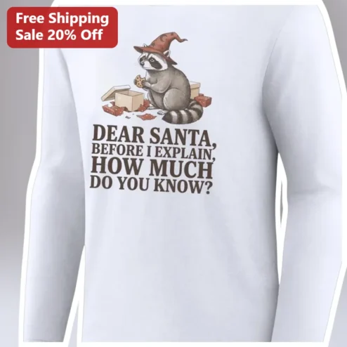 Dear Santa Funny Christmas Long Sleeve Tee Raccoon Sarcastic Holiday Gift