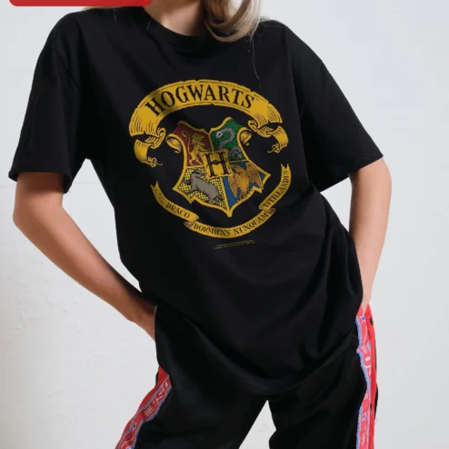 Draco Dormiens Nunquam Titillandus Hogwarts Crest Vintage Tee Harry Potter Fan Gift