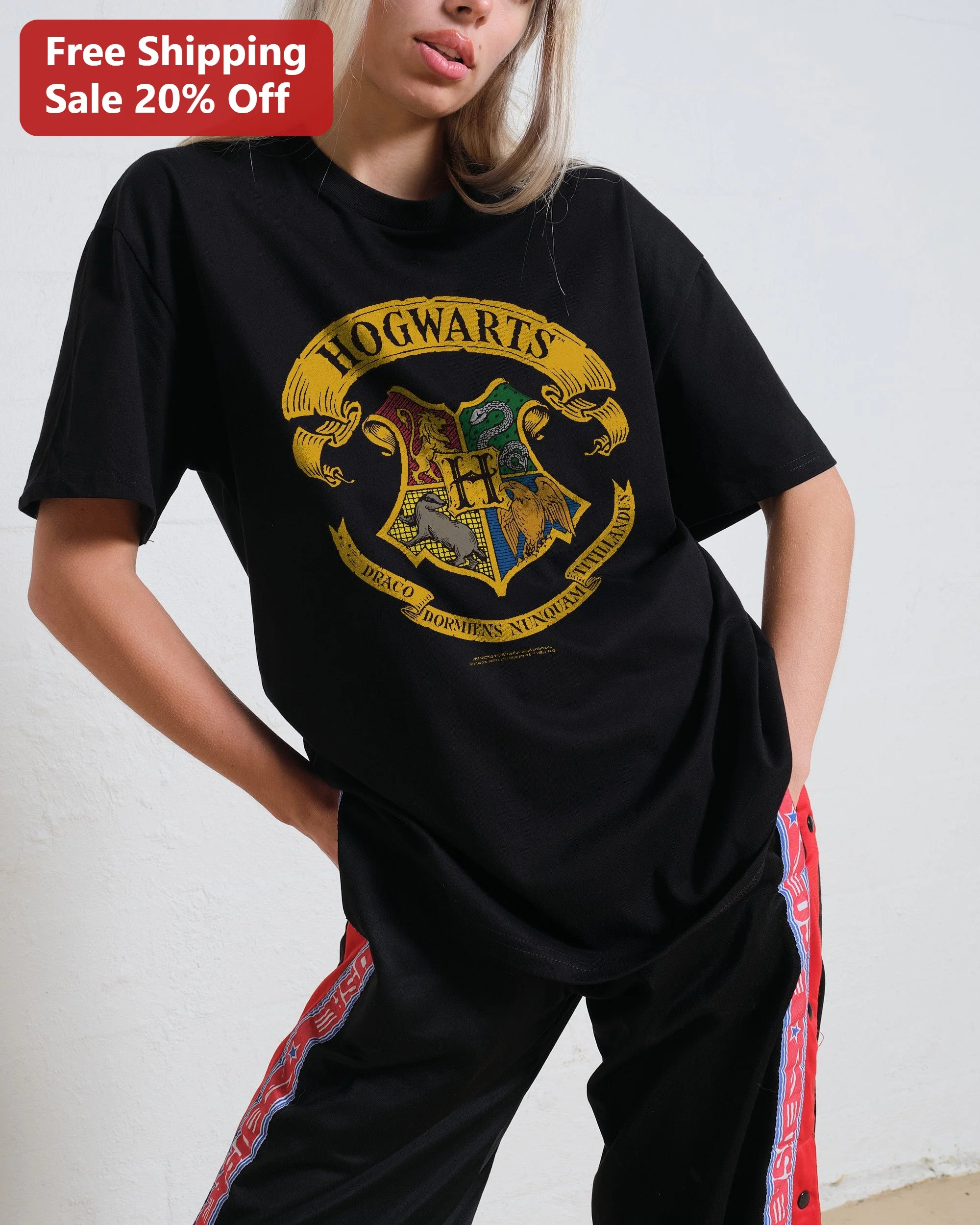 Draco Dormiens Nunquam Titillandus Hogwarts Crest Vintage Tee Harry Potter Fan Gift