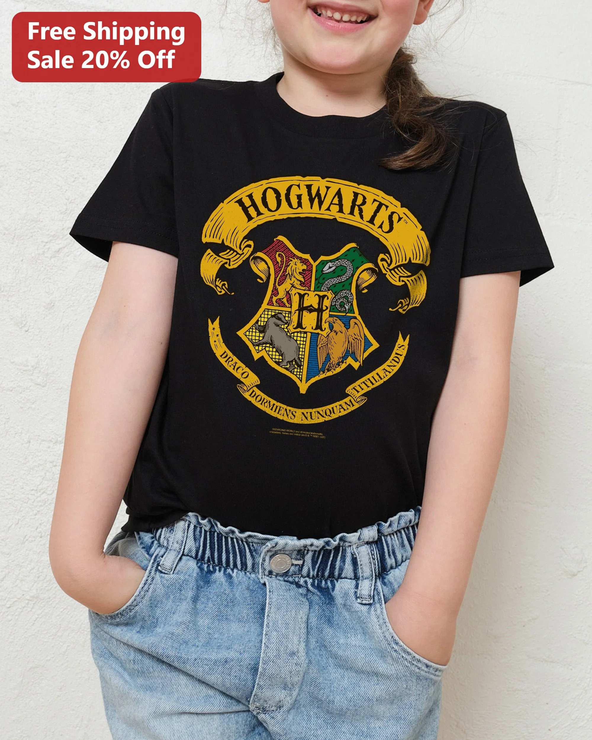 Hogwarts Draco Dormiens Nunquam Titillandus Crest Tee Harry Potter Kids Shirt