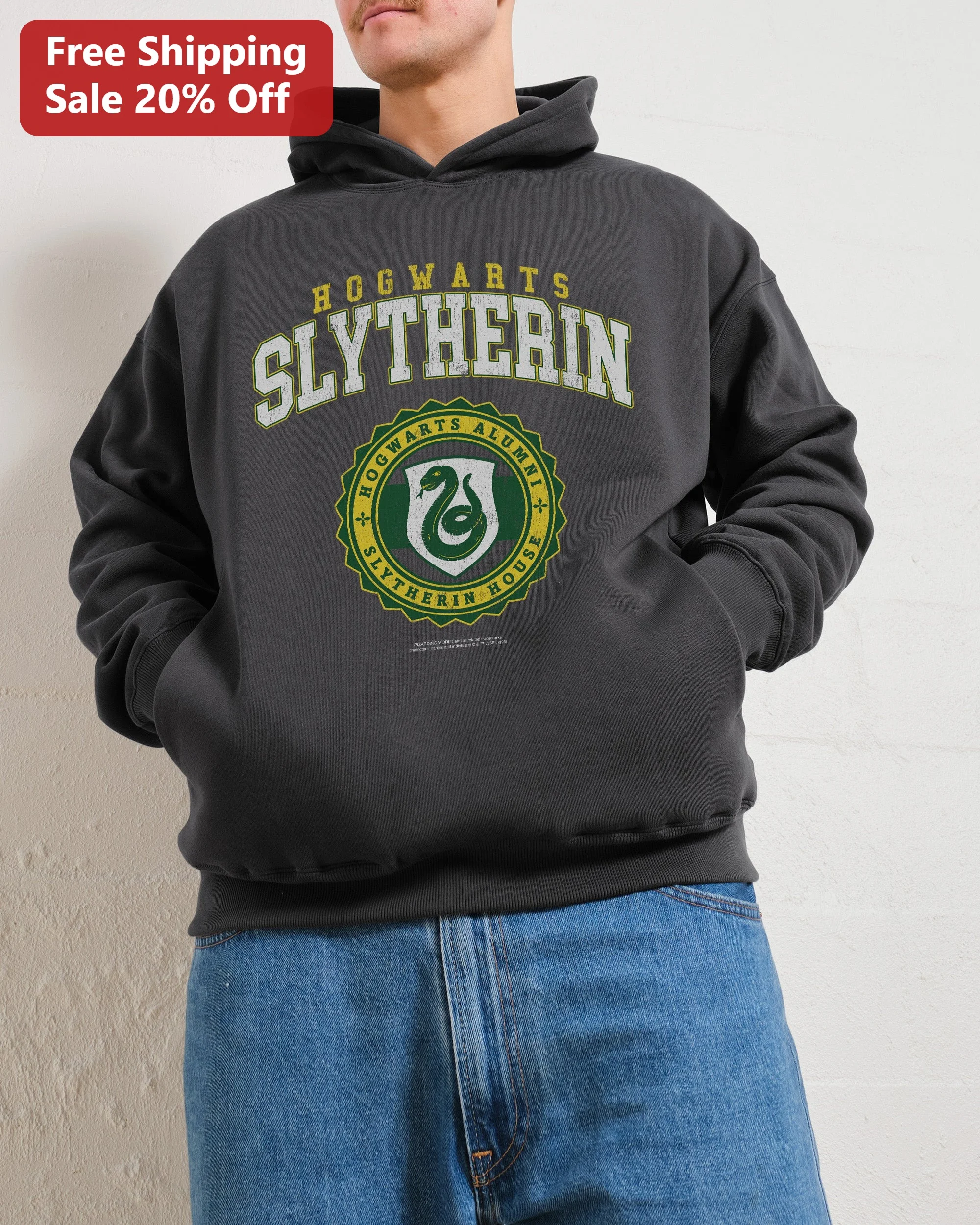 Hogwarts Slytherin Alumni House Hoodie Vintage Collegiate Harry Potter Fan Gift