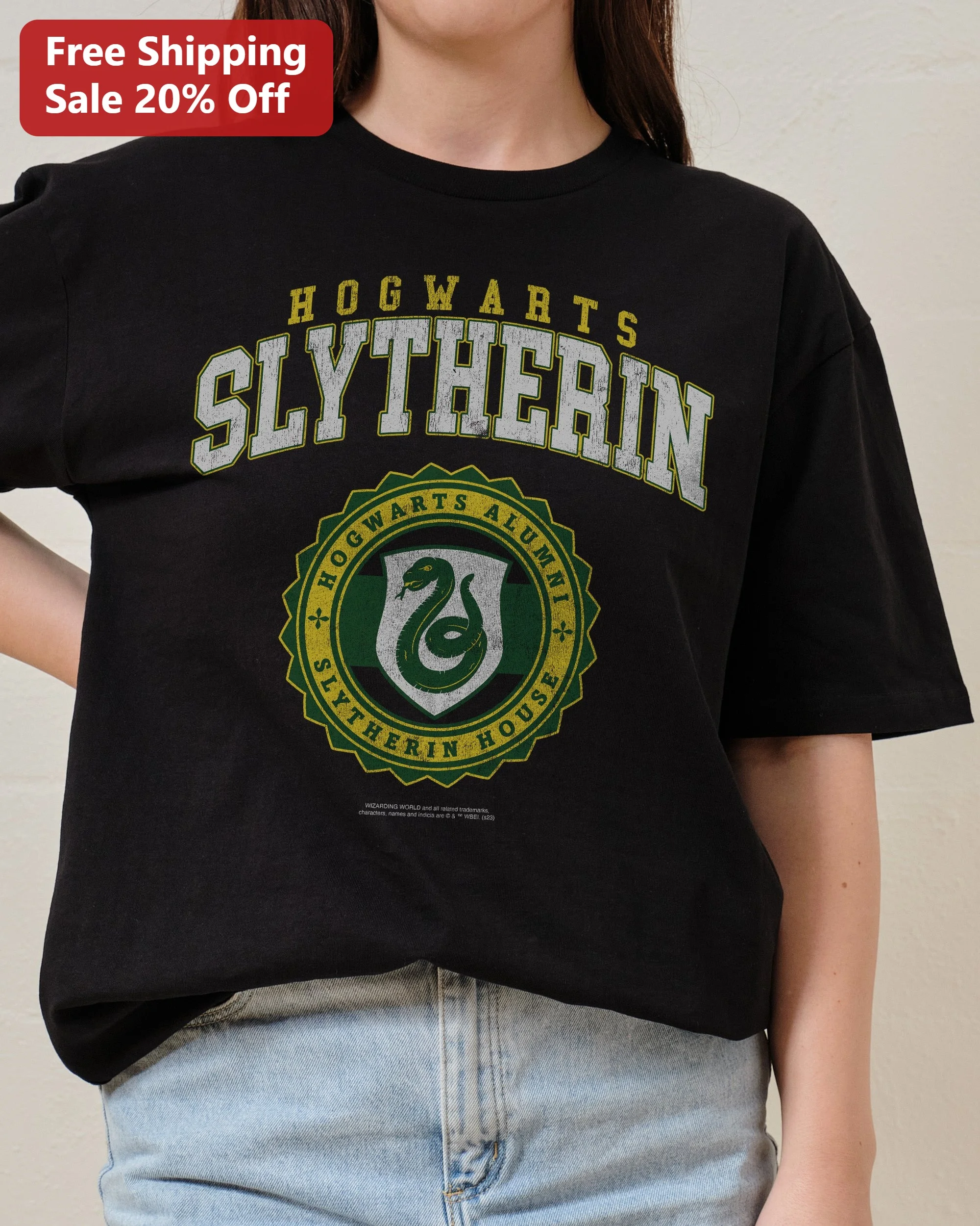 Hogwarts Slytherin Alumni House Vintage Collegiate Tee Harry Potter Fan Gift