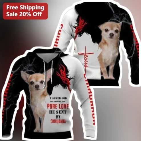 I Asked God For Loyalty And Pure Love He Sent My Chihuahua Hoodie Christian Pet Lover Gift