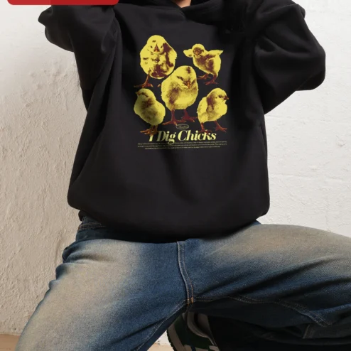 I Dig Chicks Hoodie Retro Funny Chick Pullover Gift for Poultry Lovers on a hanger, ready to ship from Chicago, Illinois