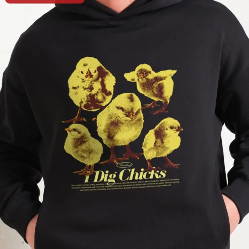 I Dig Chicks Hoodie Retro Funny Chick Pullover Gift for Poultry Lovers