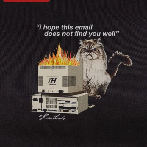I Hope This Email Does Not Find You Well Tee Funny Office Humor Sarcastic Cat Graphic Shirt for Coworker Gift