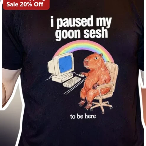 I Paused My Goon Sesh Tee Funny Capybara Meme Shirt Gen Z Internet Culture Gift