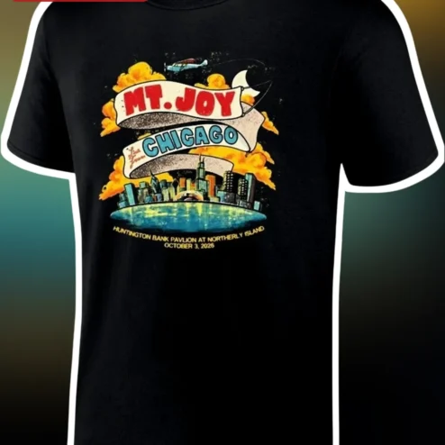 Mt. Joy Chicago Tee Vintage Tour Merch Concert Graphic Shirt