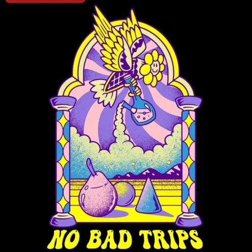 No Bad Trips Psychedelic Winged Skull Graphic Tee