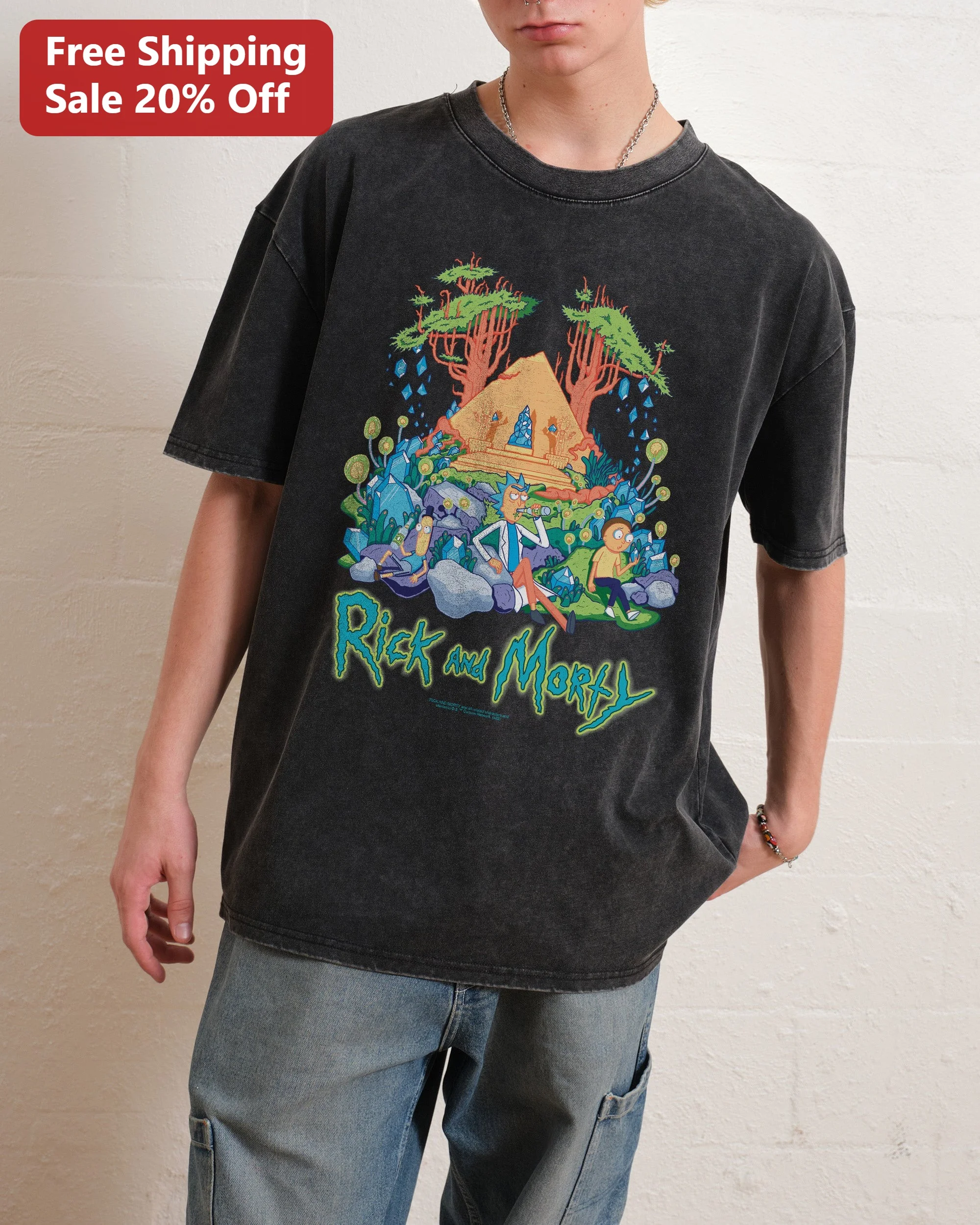 Rick and Morty Vintage Wash Tee Adult Swim Cartoon Graphic Shirt