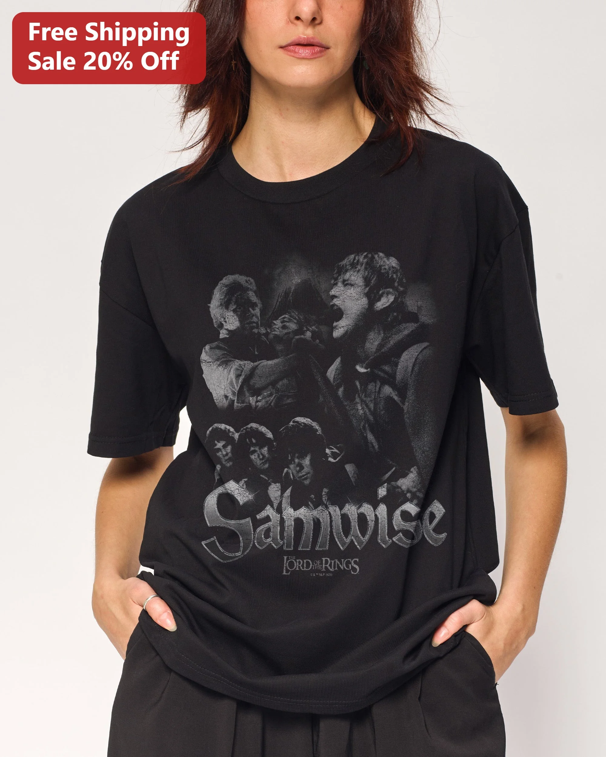 Samwise Gamgee Lord of the Rings Tee Vintage Distressed Fantasy Graphic Shirt for LOTR Fans