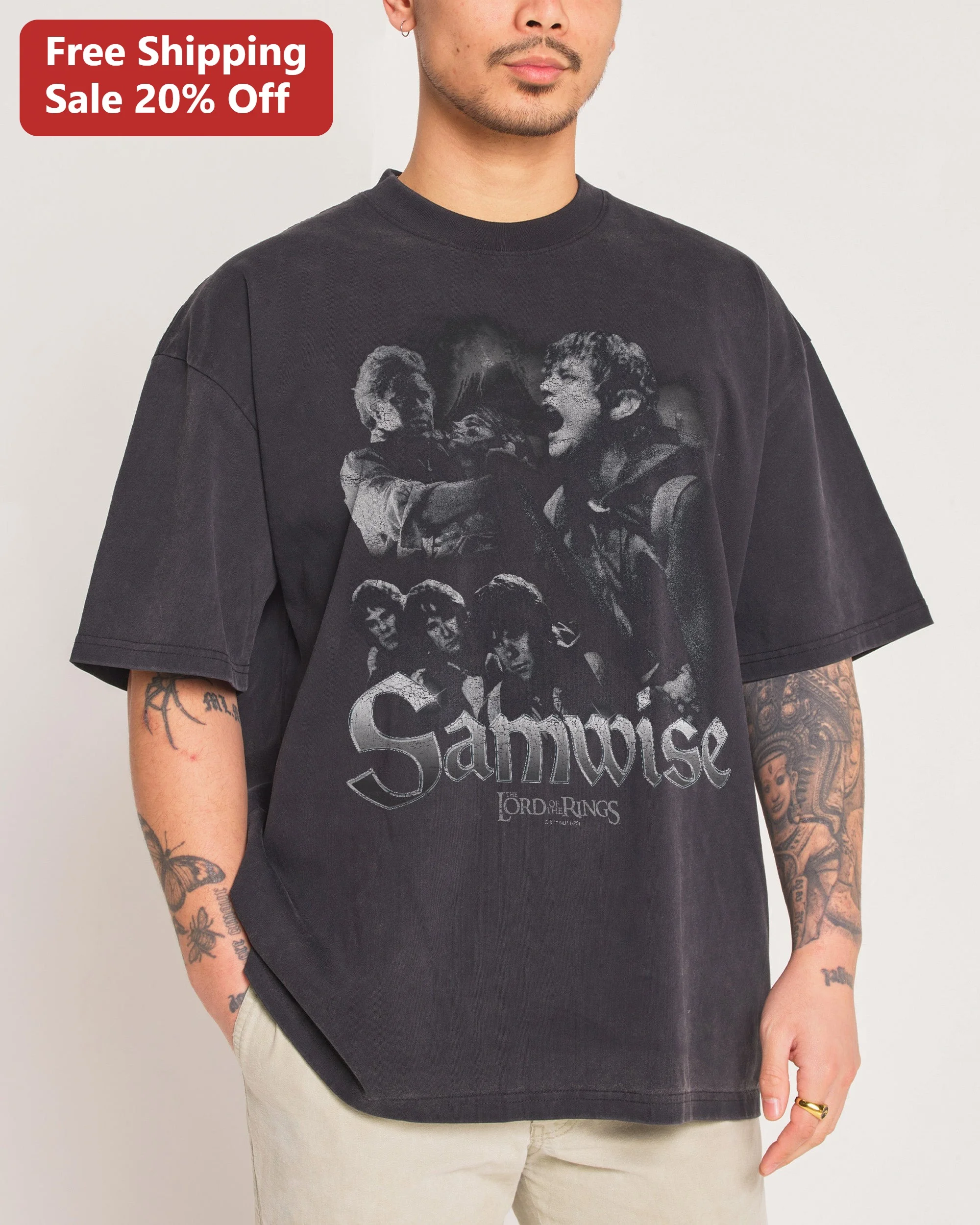Samwise Gamgee Lord of the Rings Tee Vintage Distressed Graphic Shirt for LOTR Fans