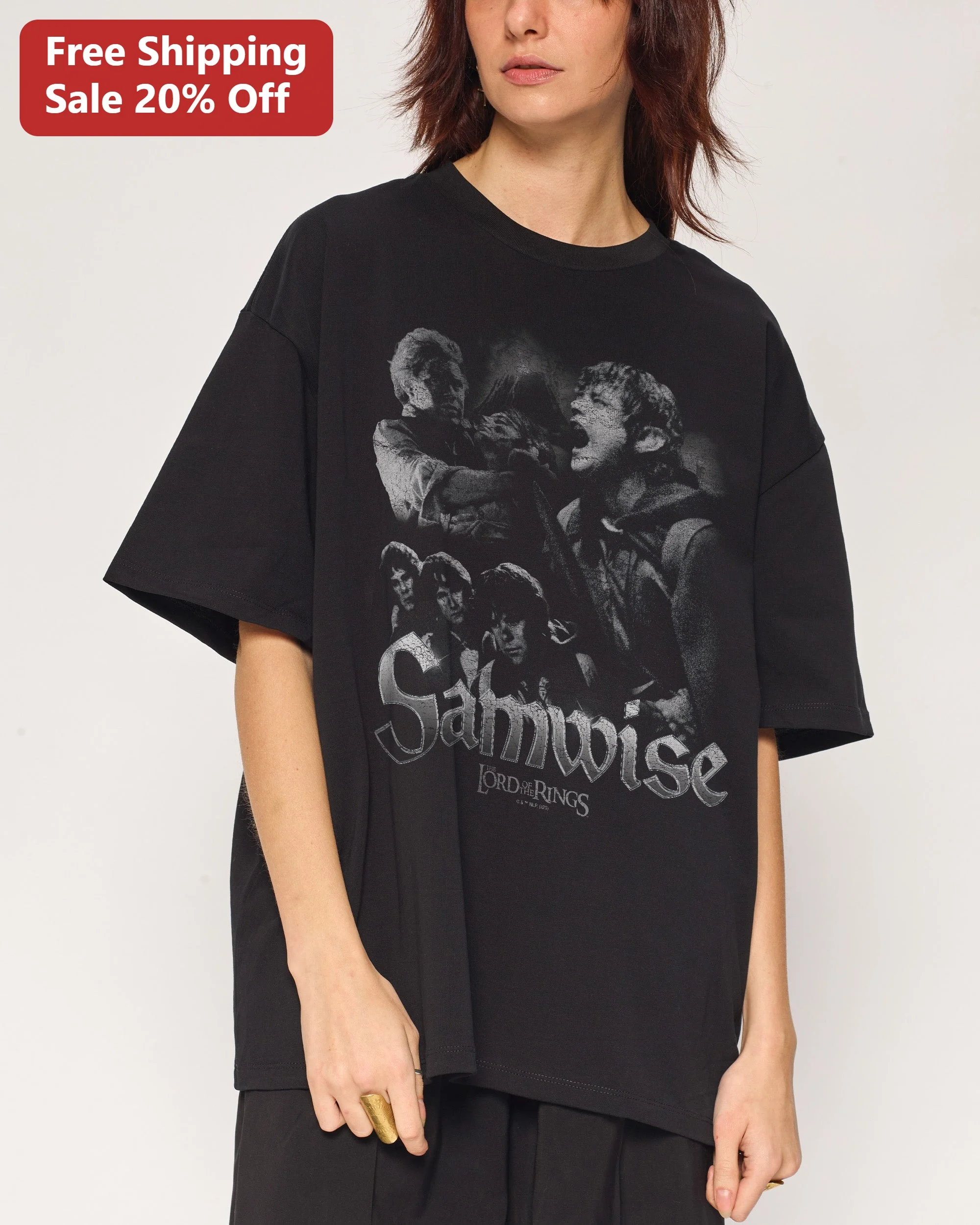 Samwise Gamgee The Lord of the Rings Tee Vintage Distressed Graphic Shirt for LOTR Fans