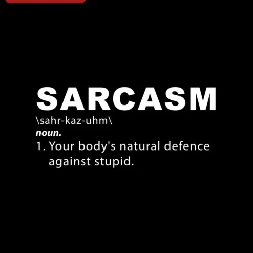 Sarcasm Definition Digital Artwork Funny Dictionary Style Print Humorous Wall Decor Gift for Sarcast on a hanger, ready to ship from Chicago, Illinois