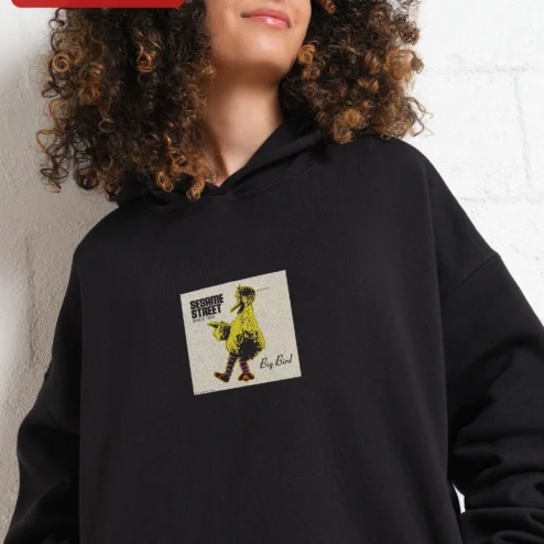 Sesame Street Big Bird Hoodie Vintage Retro Cartoon Graphic Sweatshirt for Adults and Kids