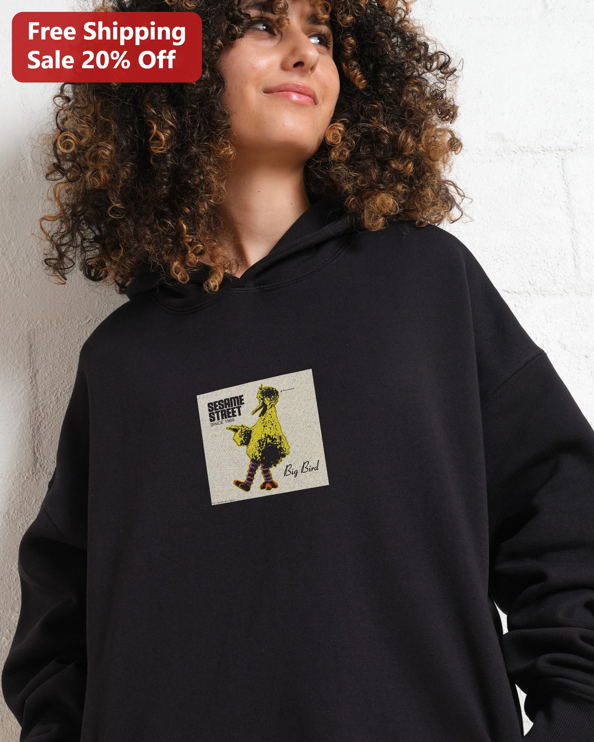 Sesame Street Big Bird Hoodie Vintage Retro Cartoon Graphic Sweatshirt for Adults and Kids