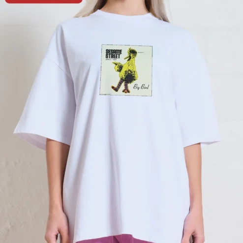 Sesame Street Big Bird Since 1969 Vintage Graphic Tee Retro Pop Culture Shirt