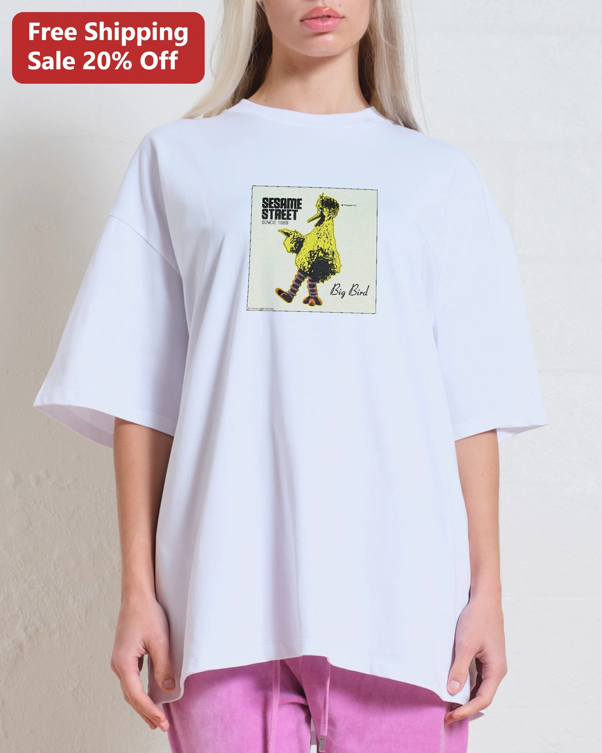 Sesame Street Big Bird Since 1969 Vintage Graphic Tee Retro Pop Culture Shirt