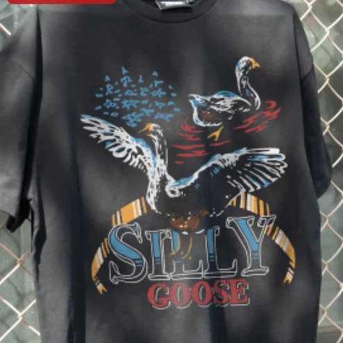 Silly Goose Tee Funny Animal Graphic T-Shirt Retro Vintage Distressed Gift for Parents Teachers