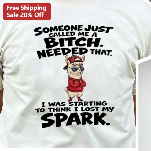 Someone Just Called Me A Bitch Needed That Funny Sarcastic Quote Tee