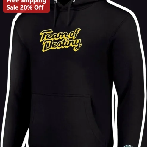 Team of Destiny Hoodie Retro Script Black Pullover for Men Women Kids Sports Squad