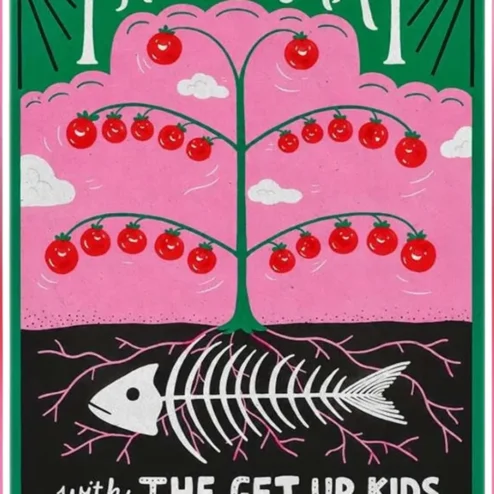 The Format Band Poster Indie Rock Concert Art Retro Screen Print Style Music Memorabilia Wall Decor