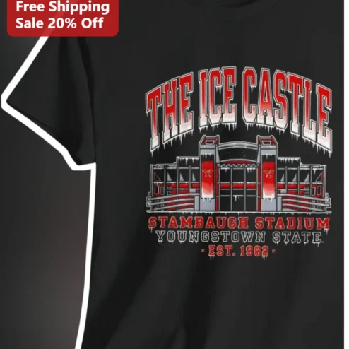 The Ice Castle Stambaugh Stadium Youngstown State Tee YSU Penguins Vintage Collegiate Graphic Shirt