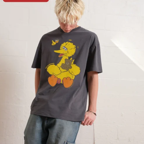 Threadheads Tee Big Bird Sesame Street Retro Vintage Oversized Graphic T-Shirt