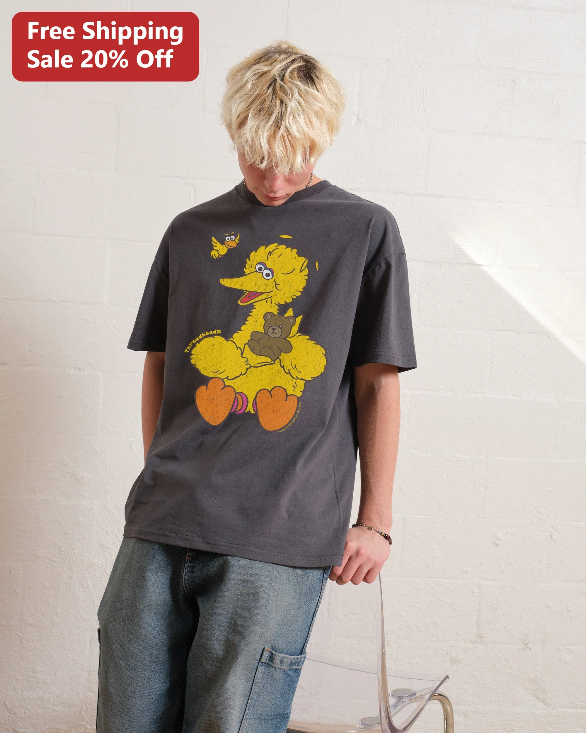 Threadheads Tee Big Bird Sesame Street Retro Vintage Oversized Graphic T-Shirt