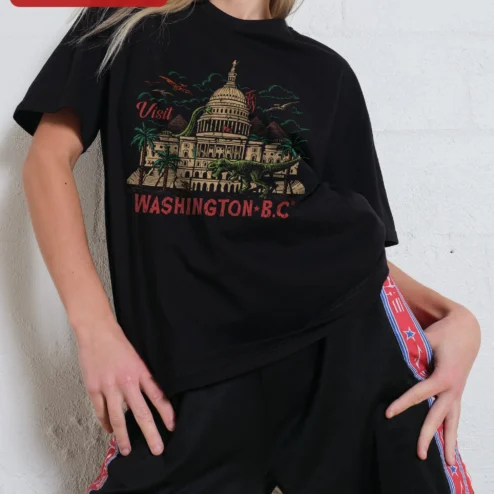 Visit Washington B.C. Retro Dinosaur Tee Funny DC Souvenir Shirt Gift for Travelers